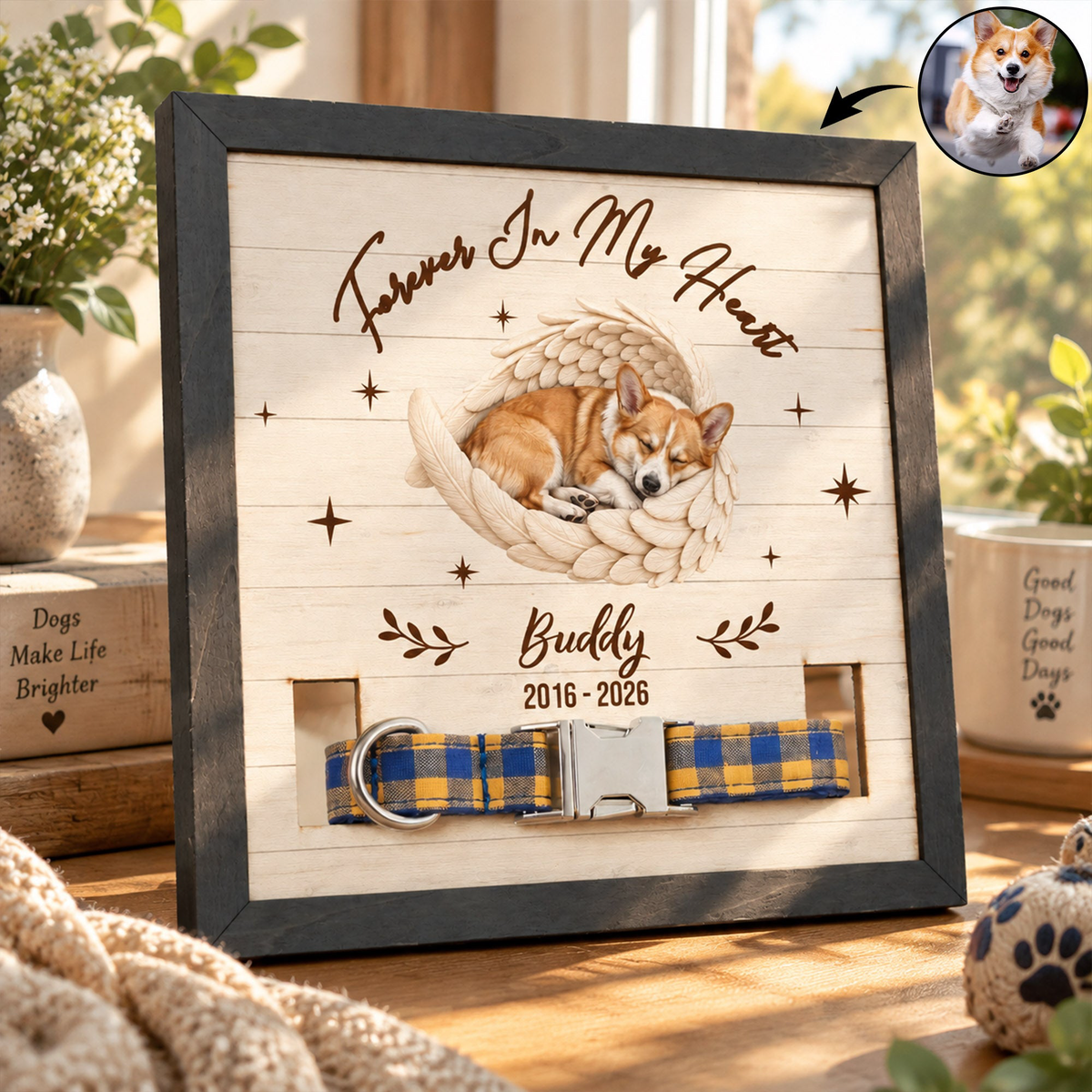 Custom Pet Photo Angel Wings Collar Holder Pet Loss Gifts For Her, Him - Personalized Frame