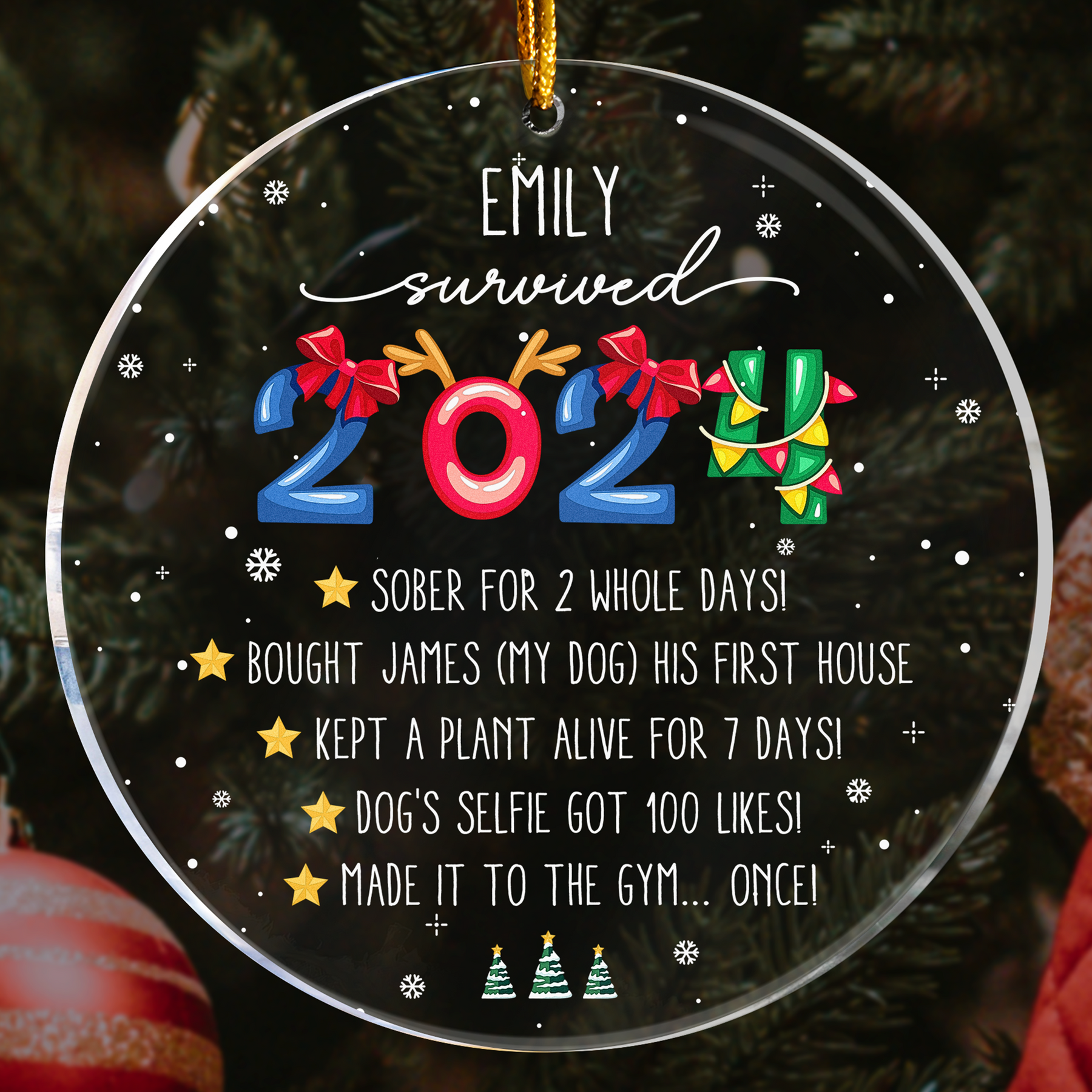 I Survived 2026 - Funny Year In Review - Personalized Acrylic Ornament