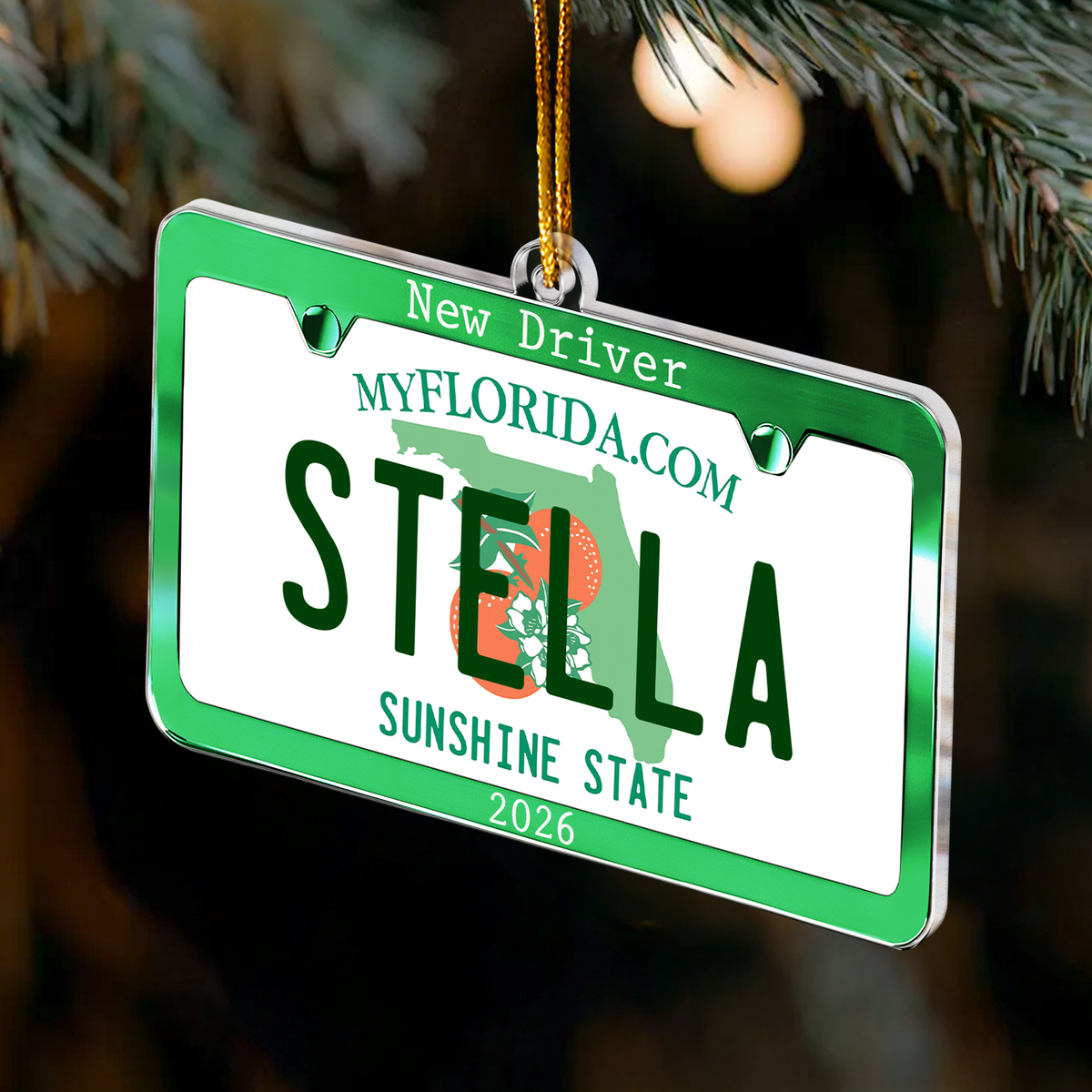 New Driver Custom State Car Plate Ornament, First Teenager Car Gift - Personalized Ornament