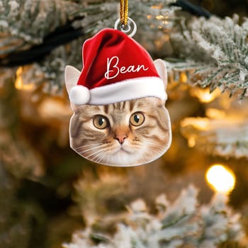 Pet-Funny-Christmas-Face-Personalized-Acrylic-Photo-Ornament_1_c7e1eed9-11bd-4b23-a85a-2151b18348ee
