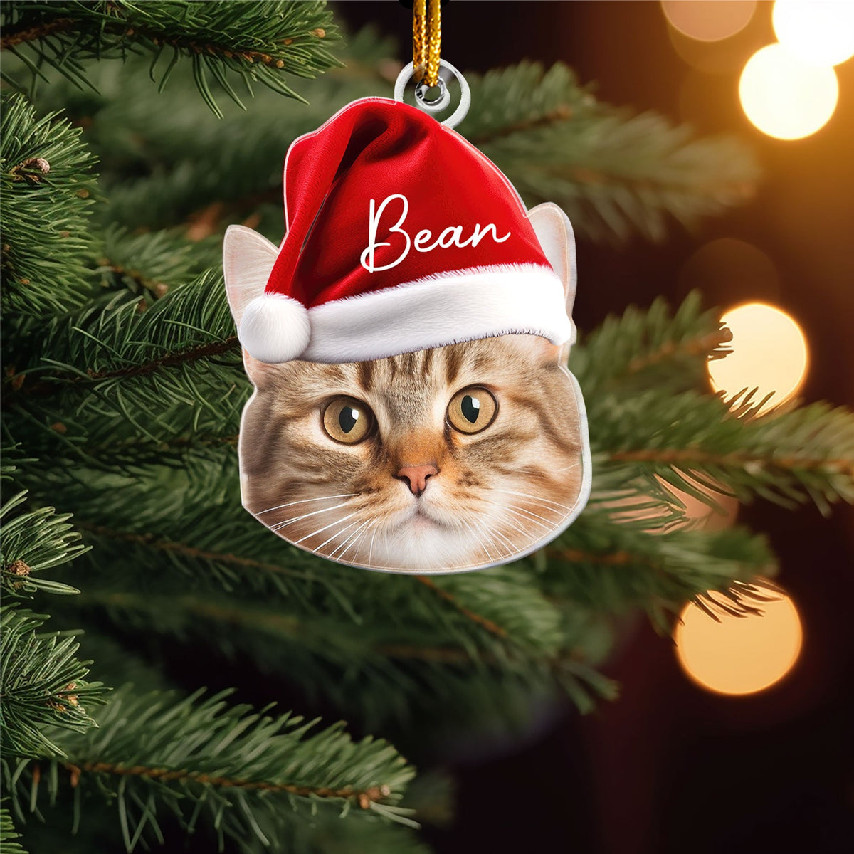Pet-Funny-Christmas-Face-Personalized-Acrylic-Photo-Ornament_2_44a580ab-452e-4a0b-9d32-44a6af8c94c4
