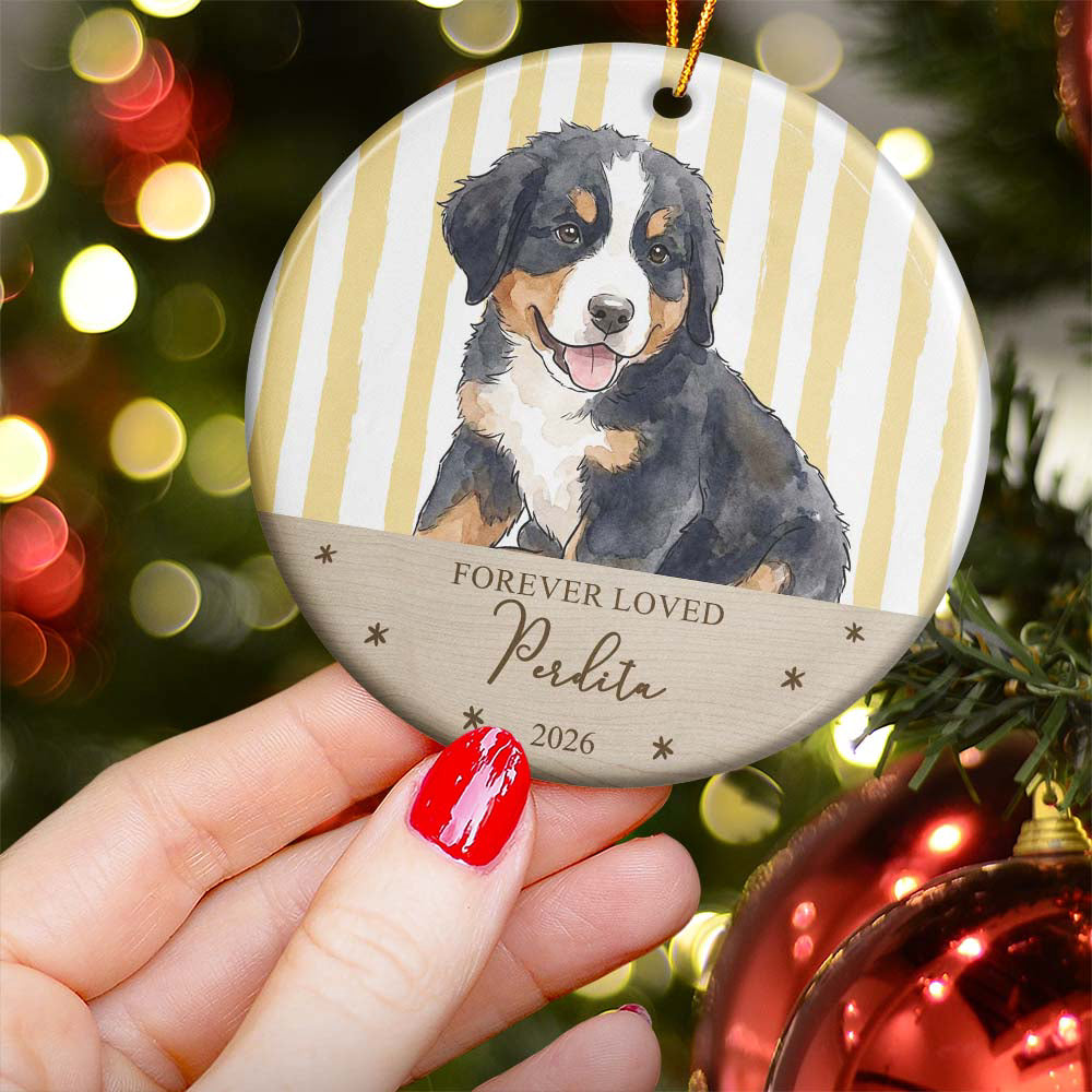 Custom Pet Portrait Memorial, Pet Loss Gift For Pet Lovers - Personalized Ornament