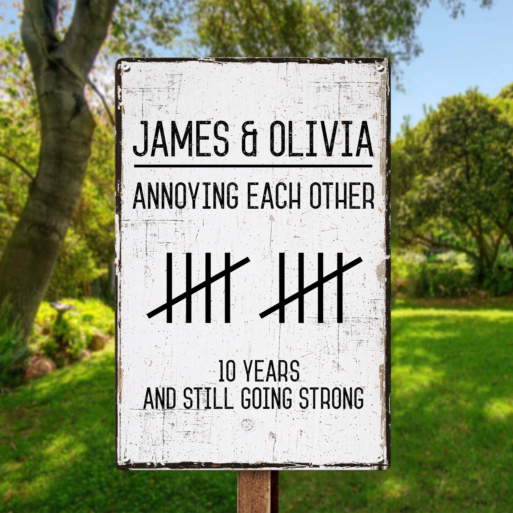 Annoying Each Other And Still Going Strong - Personalized Metal Sign