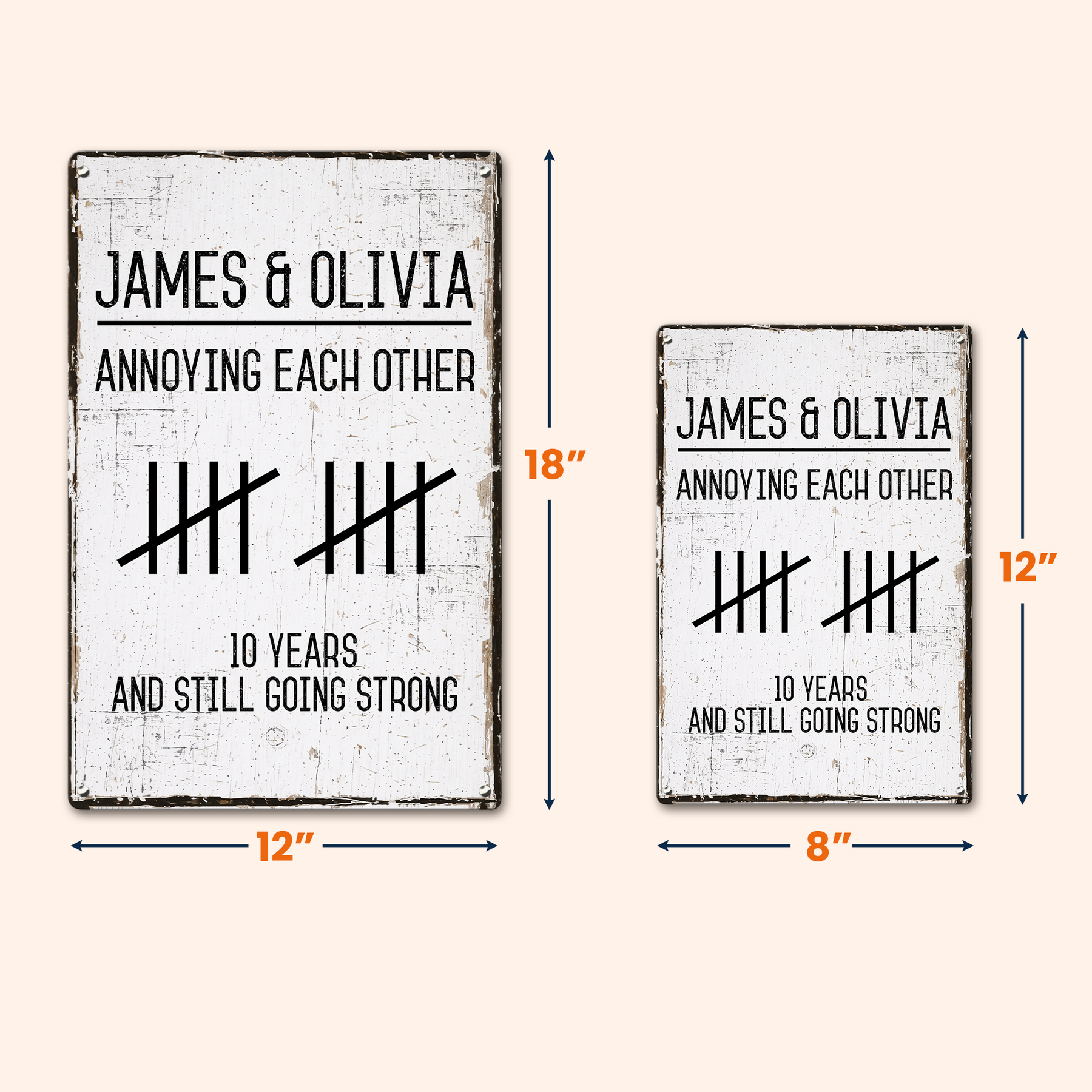 Annoying Each Other And Still Going Strong - Personalized Metal Sign